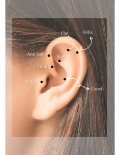 Labret ROYALE BIS 1,2mm - argent 925 2