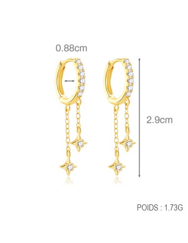 Boucles d'oreilles argent 925 doré à l'or fin -...