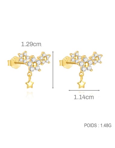 Boucles d'oreilles argent 925 doré à l'or fin -...